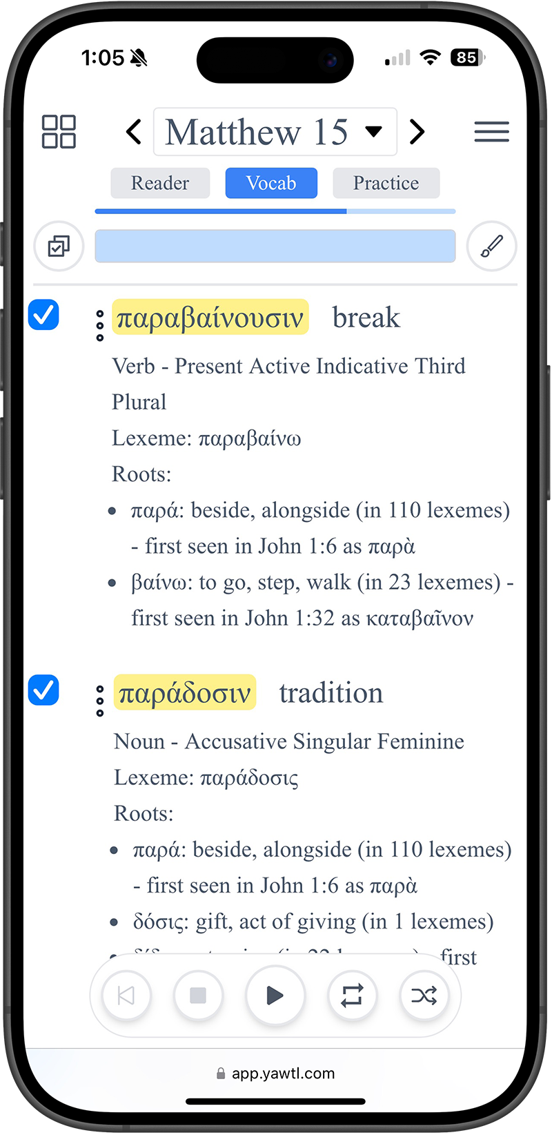 Vocabulary Playback Illustration